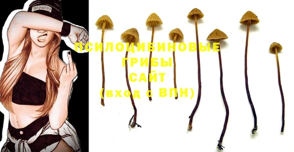 дмт Покровск