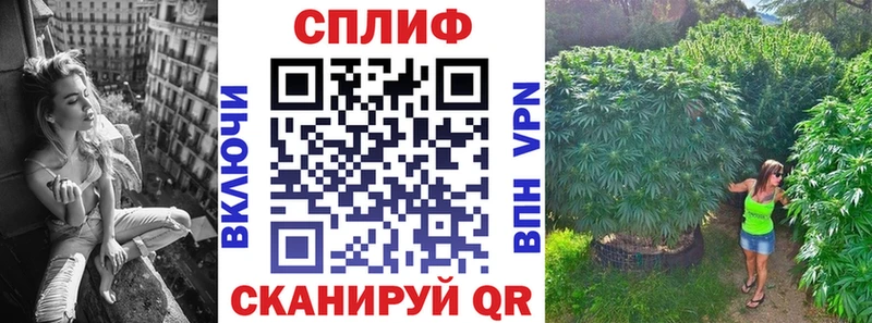 Каннабис конопля  Купить где  Кызыл 